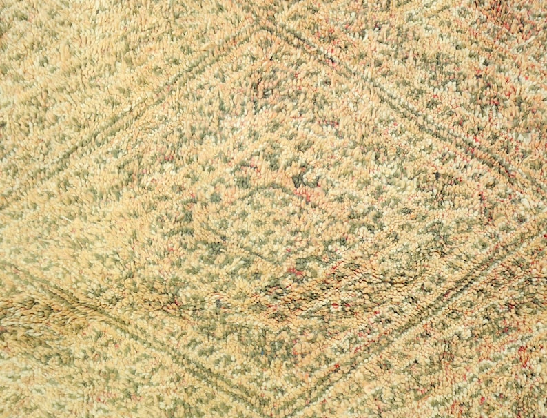 Ashru Vintage Moroccan Rug 6'9" x 10'1"