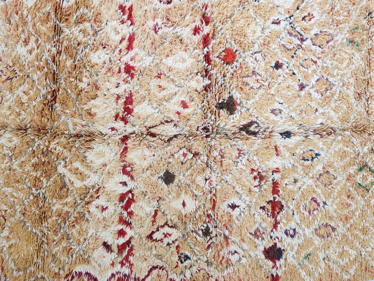 Tililla Vintage Moroccan Rug 5'2" x 9'8"