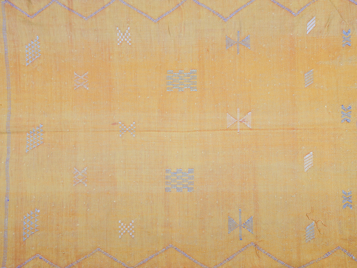 Lalla Cactus Silk Rug 3'0" X 4'3"